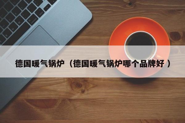 德國暖氣鍋爐（德國暖氣鍋爐哪個品牌好 ）