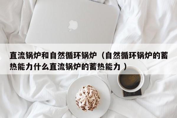 直流鍋爐和自然循環(huán)鍋爐（自然循環(huán)鍋爐的蓄熱能力什么直流鍋爐的蓄熱能力 ）
