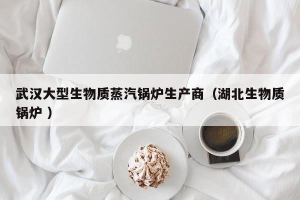 武漢大型生物質(zhì)蒸汽鍋爐生產(chǎn)商（湖北生物質(zhì)鍋爐 ）