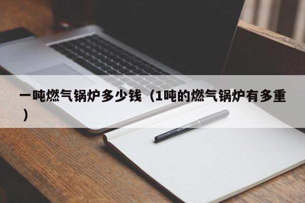 一噸燃?xì)忮仩t多少錢（1噸的燃?xì)忮仩t有多重 ）